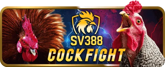 Cược Miễn Phí Thể Thao 27nk88
